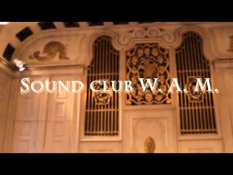 Clubbing im Wiener Saal