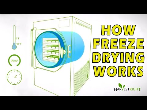 Lyophilizer Freeze Dryer