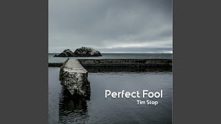 Perfect Fool