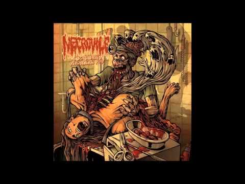 Necrovile - Flesh Exposed To Bone