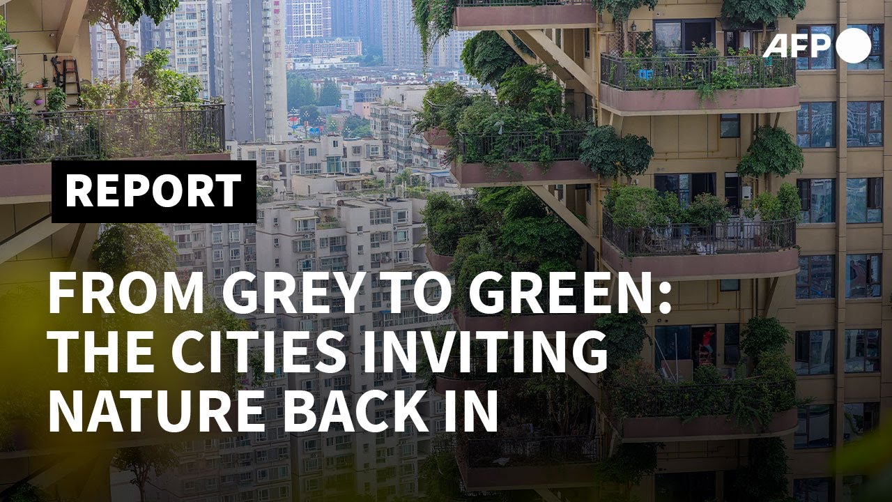 From grey to green: the cities uprooting the urban jungle | AFP