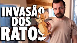 QUEM MANDOU MORAR NO MATO? - Ep.1783