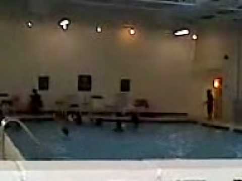 Chaos at la quinta inn in clifton, nj