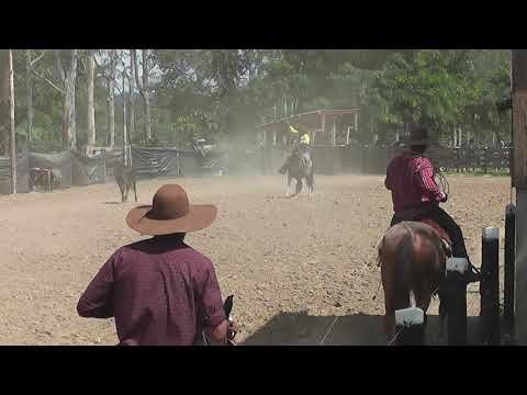 VIDEOS : Laço em Dupla - Parte 02 - 1° Festa de Laço Comprido | PISTA DA AMIZADE | Castanheiras RO