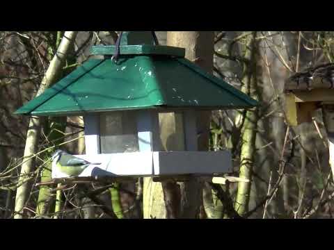 Wandern im Eichsfeld    Bei Heyerode