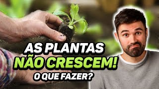 Minhas PLANTAS NÃO DESENVOLVEM - como resolver? | Série: Teoria na Prática #002
