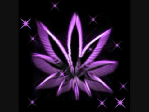 borel usina catrambi ( marizia mc duda )