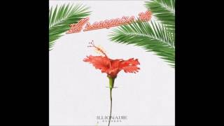 Dok2 (도끼) - 1ll Recognize 1ll