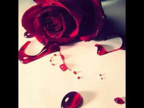 Los Lane x Ross Blvd - Love Cry