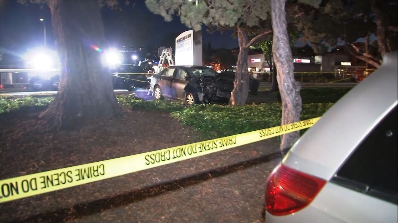 Car that hit pedestrians in California zoomed into intersection ...