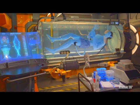 [4K] Avatar Ride Full Tour of Flight of Passage ride Queue - Disney's Animal Kingdom