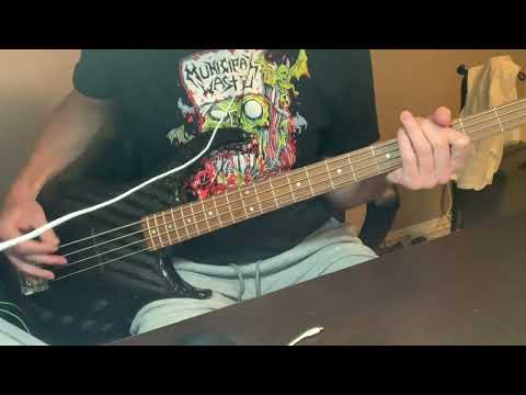 Faster Pussycat - You’re So Vain (Bass cover)