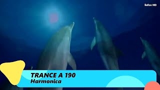 Trance A 190 – Harmonica