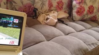 تحميل لعبة جي تي اي باب الحارة تحميل اغاني مجانا