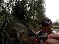 Australian Bass - which Balista lures to use Australian Bass - which Balista lures to use