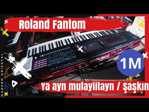 Zuhal Youtube Videos