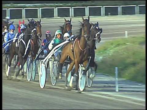 Trotto 11/03/2016 - 7° corsa