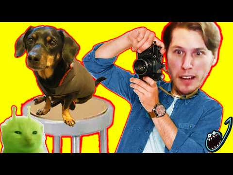 Jerma Teaches Photography 101 in Pupperazzi - Long Edit With Chat