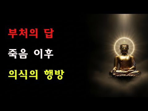 부처님이 사리불에게 밝히다: 죽은 뒤 마음의식은 어디로 가는가? 이것이 바로 삶의 진정한 종착점이다