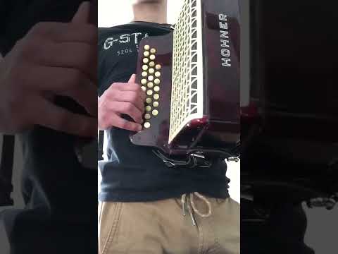 Faz a muito tempo essa cana verde a na hohner