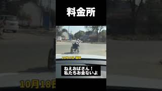 中国の田舎町にある恐怖の料金所　　#通行料を払わないと襲われる村　　#中国にあった北斗の拳の世界