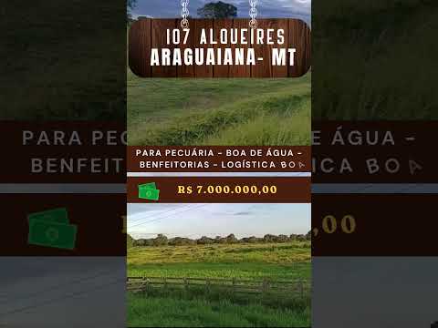 107 alqueires em Araguaiana-MT/ whatsapp 62 99373-6407