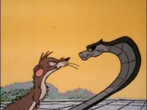 Rikki Tikki.