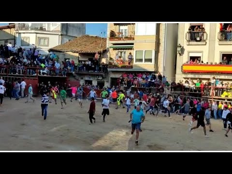 Cuarto encierro de las fiestas de Aldeadávila en el que se corrieron novillos de Valdeflores
