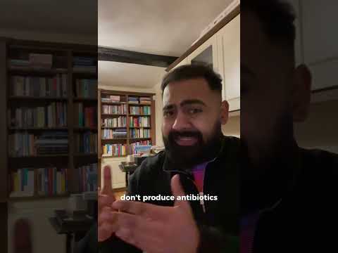 Doctor Explains Cheese Made From Penicillin?!