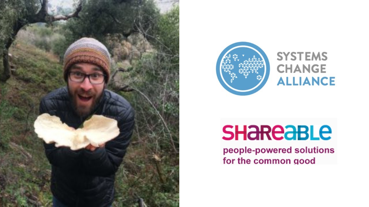 Live Interview with Tom Llewellyn - Shareable