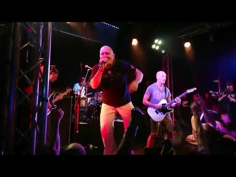 Shelter - Appreciation live 2019