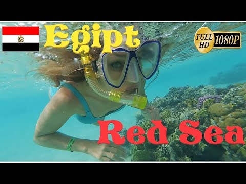 Egypt - Snorkeling in Red Sea.
