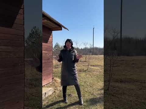 фото садовое товарищество хуторок, шапечинский сельсовет, витебский район, витебская область, 1 комн., 10 сот. 0