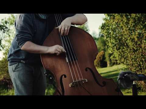 REMIC D5400 Microphone for Upright Bass (Double Bass)