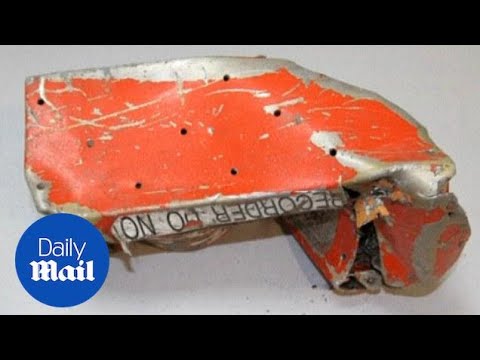 Germanwings crash: Pilot locked out of cockpit before impact - Daily Mail