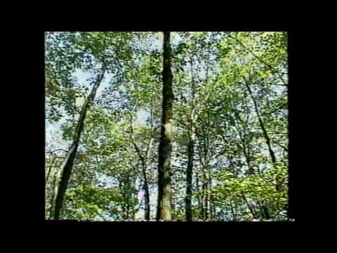 Lewinsky Dress and Camping Trip - August 1998