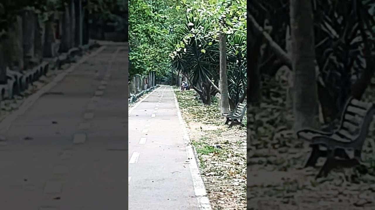 Cammino - Via di San Francesco.#travel #explore #walkthrough #travelvlog #jubinnautiyal #bollywood