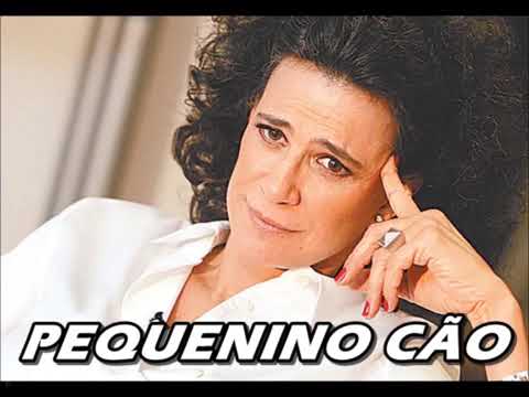 AS MAIS LINDAS CANÇÕES DA CANTORA SIMONE