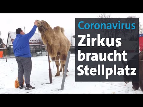 Zirkus ohne Winterquartier - Zirkusfamilie sucht einen Stellplatz | Abendschau | BR24