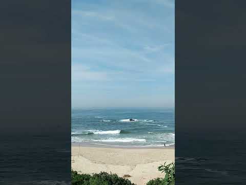 VISTA DA PRAIA DO CERRO ITAJUBA BARRA VELHA SANTA CATARINA BRASIL