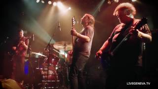 Part Chimp @ Kalvingrad 2017