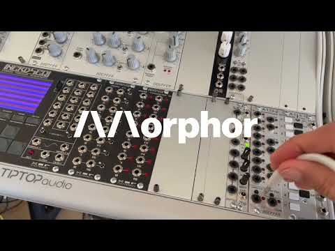 Morphor AP-1 Dry Manual Gate Test