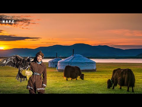 La Bella Mongolia - NATURA - ANIMALI - Documentario