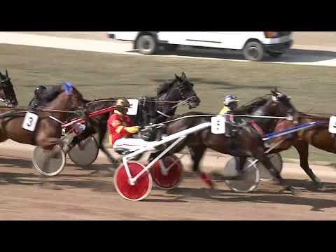 2021.04.10. 03. futam - TÖRZS ÚR DÍJ