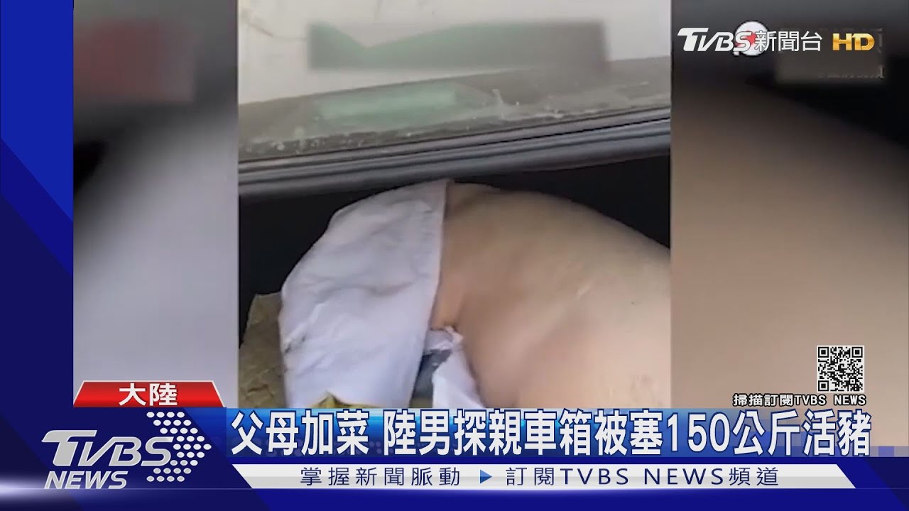 父母加菜　陸男探親車箱被塞150公斤活豬