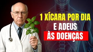 IDOSOS, este é o CHÁ QUE CURA TUDO! – 6 benefícios do chá de manjericão por dia