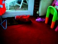 Sophie Vs Elmo