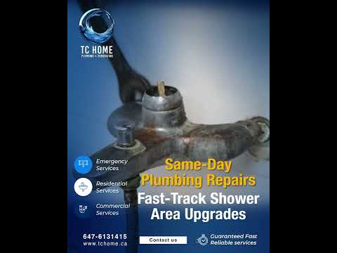 Daily Plumbing Support Meets Modern Shower Design