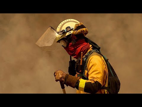 Video Thumbnail: Protesters accuse Castile and León of mishandling deadly wildfires