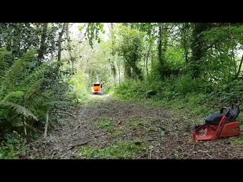 Tree Tech Arb & Forestry Services Ltd video.
